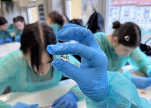 Biologia  w praktyce