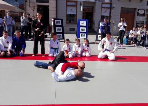 Liceum o profilu sportowym - biol-chem III