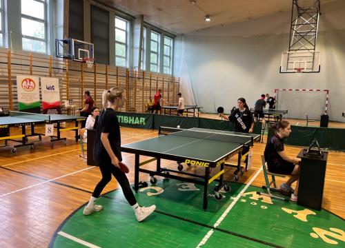 Tenis stołowy- Powiat 2023
