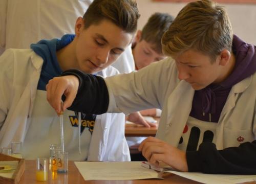 Warsztaty matematyczno  - przyrodnicze 