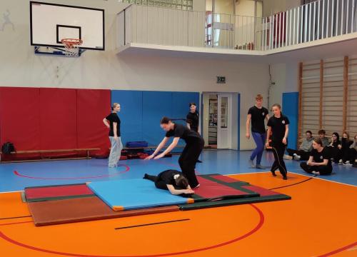 Pokaz sztuk walki klas policyjnych