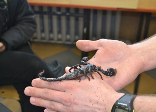 Warsztaty przyrodnicze