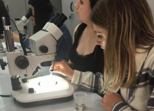 Biol-chem na Uniwersytecie Śląskim