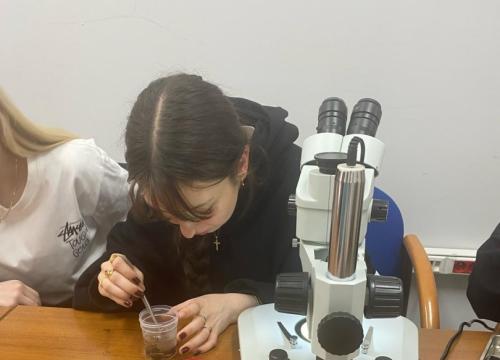 Zakuć, zdać, nie zapomnieć