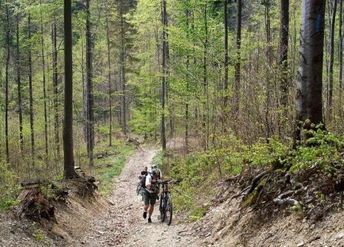 Na rowerowym szlaku – wokół Babiej Góry