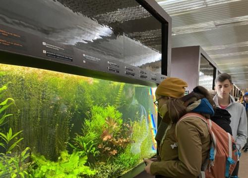 Poznaj Polskę - Wrocław