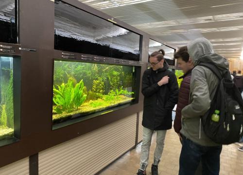 Poznaj Polskę - Wrocław