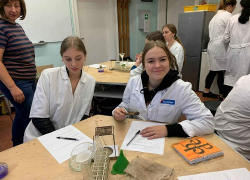 Wykrywanie białek oraz obserwacje mikroskopowe