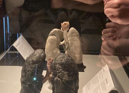 Zadbaj o swoje ciało