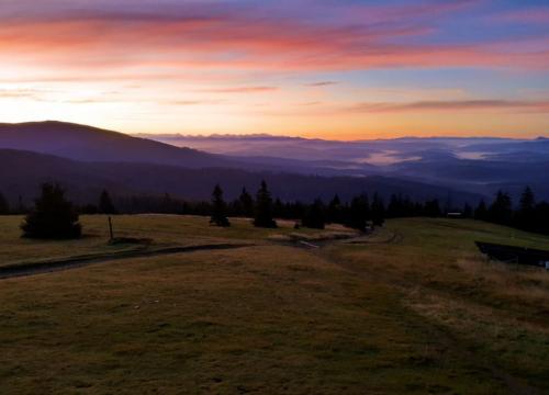Przez Boraczą na Rysiankę