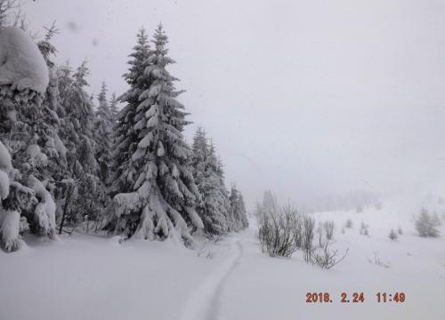 zbojnickim traktem 12.03.2018