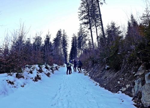 Pożegnanie zimy - powitanie wiosny!
