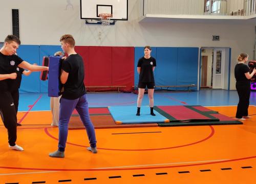 Pokaz sztuk walki klas policyjnych