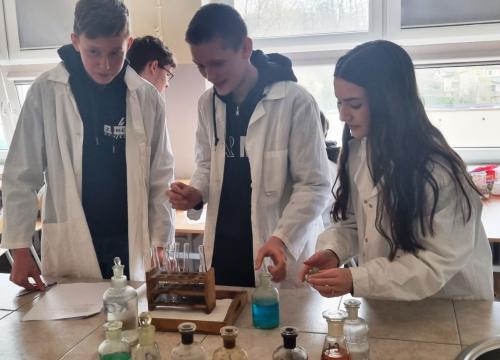 Warsztaty matematyczno - przyrodnicze dla ósmoklasistów