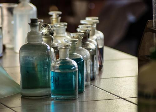 Warsztaty matematyczno  - przyrodnicze 