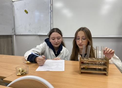 Warsztaty biol-chem 2023 II