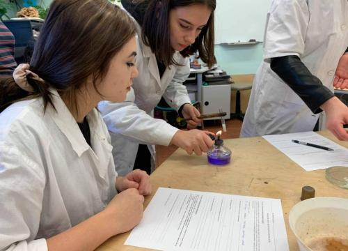 Wykrywanie białek oraz obserwacje mikroskopowe