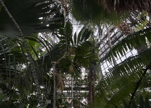 I obóz naukowy BiolChemCamp