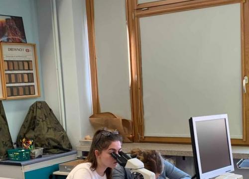 Wykrywanie białek oraz obserwacje mikroskopowe