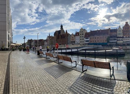 Programiści w gdańsku