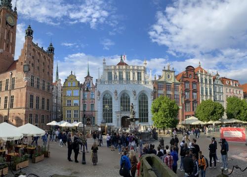 Programiści w gdańsku