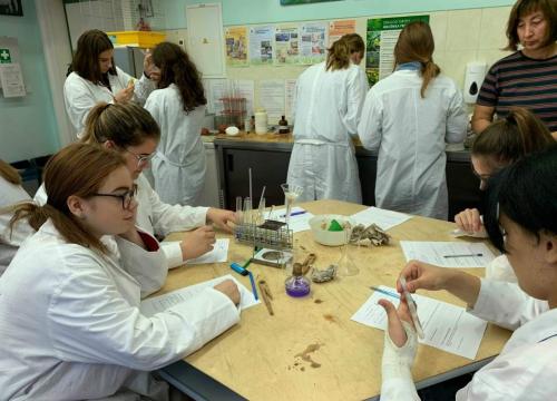 Wykrywanie białek oraz obserwacje mikroskopowe