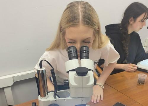 Zakuć, zdać, nie zapomnieć