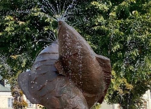Aqua Dance w Zamościu