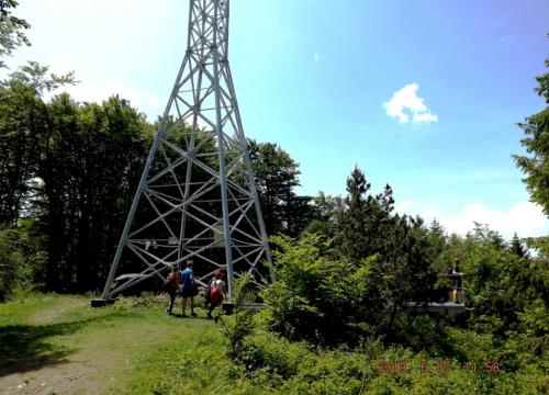 Hrobacza Łąka 2019