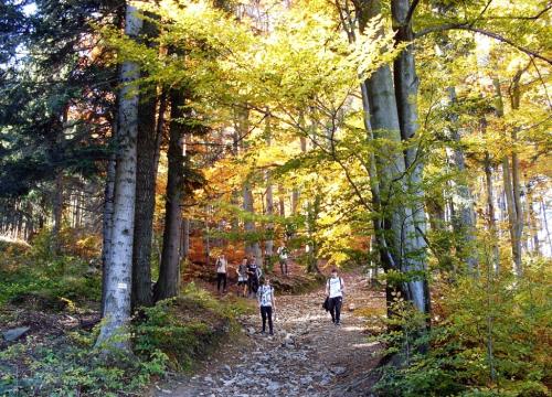 Na szlaku Prymasa Stefana Wyszyńskiego