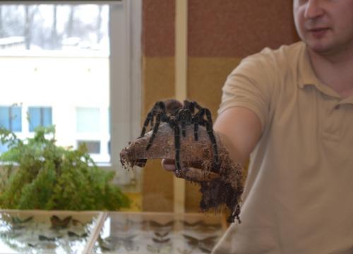 Warsztaty przyrodnicze