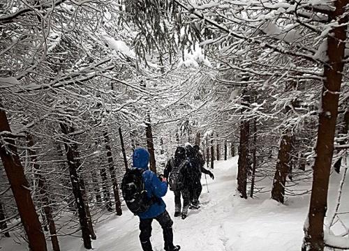 zbojnickim traktem 12.03.2018