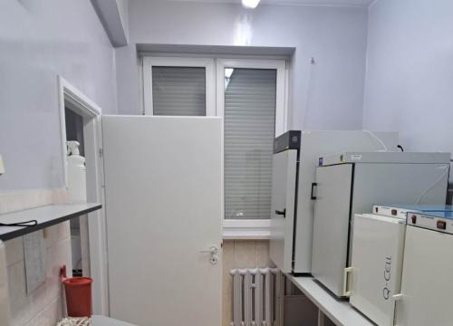 W świecie wirusów i  bakterii