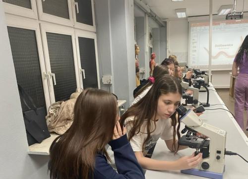 Zakuć, zdać, nie zapomnieć