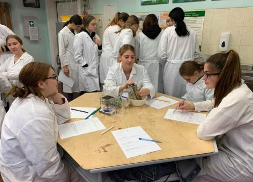 Wykrywanie białek oraz obserwacje mikroskopowe