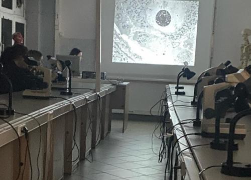 Zakuć, zdać, nie zapomnieć