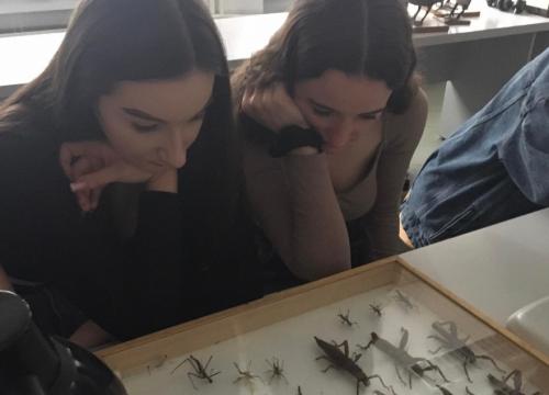 Biol-chem na Uniwersytecie Śląskim