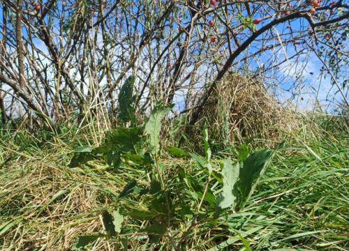 Zaduszki Narodowe 2023