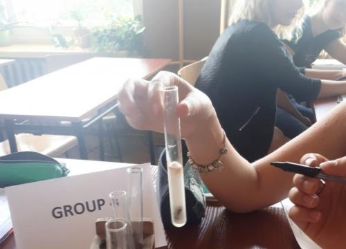 Co łączy wątróbkę drobiową, ziemniaka i marchewkę?