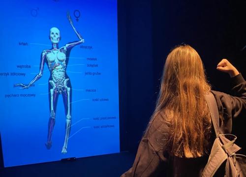 Body Worlds & The Cycle of Life