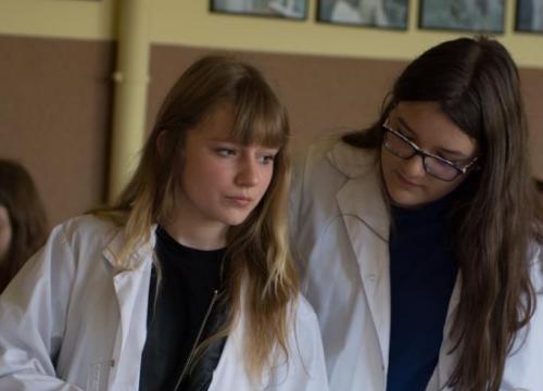 Warsztaty matematyczno  - przyrodnicze 