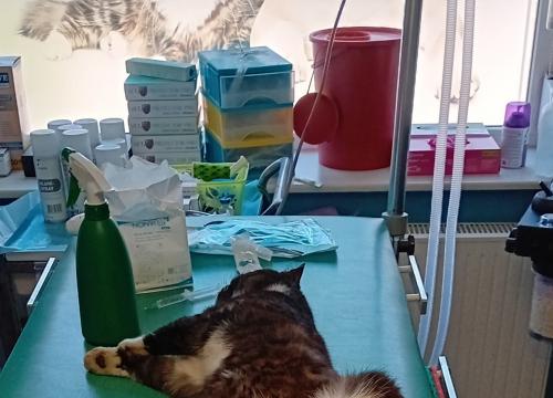 Dzień przędsiębiorczości w praktyce