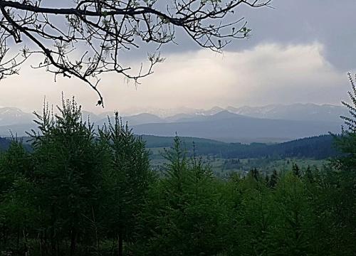 Na rowerowym szlaku – wokół Babiej Góry