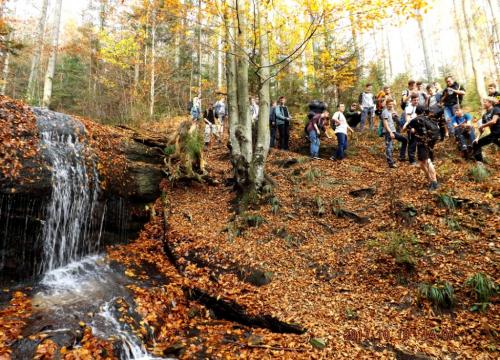 Klasa 1eT na pierwszej wycieczce…