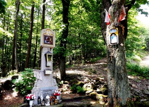 Hrobacza Łąka 2019