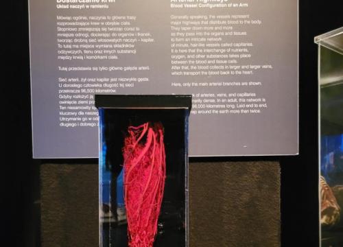 Zadbaj o swoje ciało