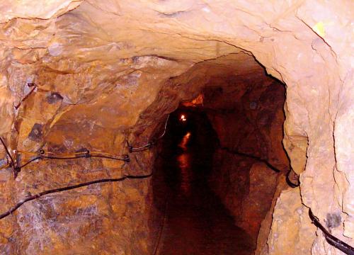 tarnowskie Góry 2022