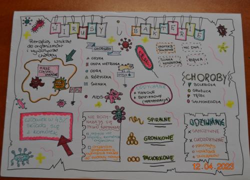 W świecie wirusów i  bakterii