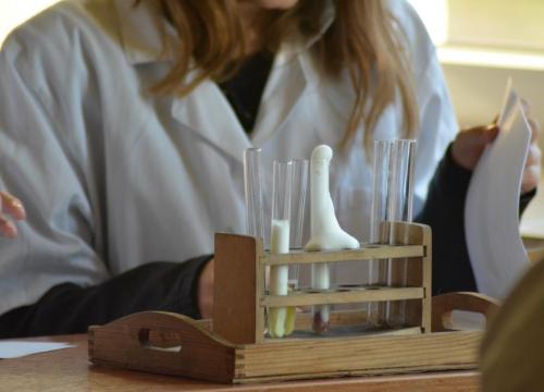 Warsztaty matematyczno  - przyrodnicze 