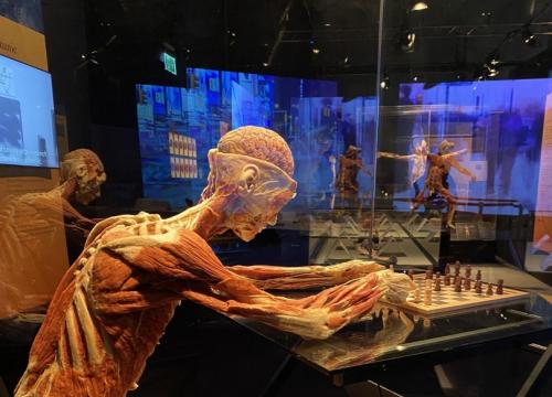 Zadbaj o swoje ciało